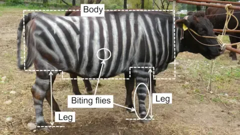 Black-and-White Bovines and Slippery Edibles Claim Humorous Academic Prizes